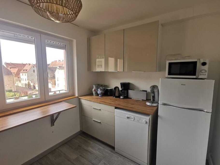 Logement Colmar Centre Avec Parking Eksteriør bilde